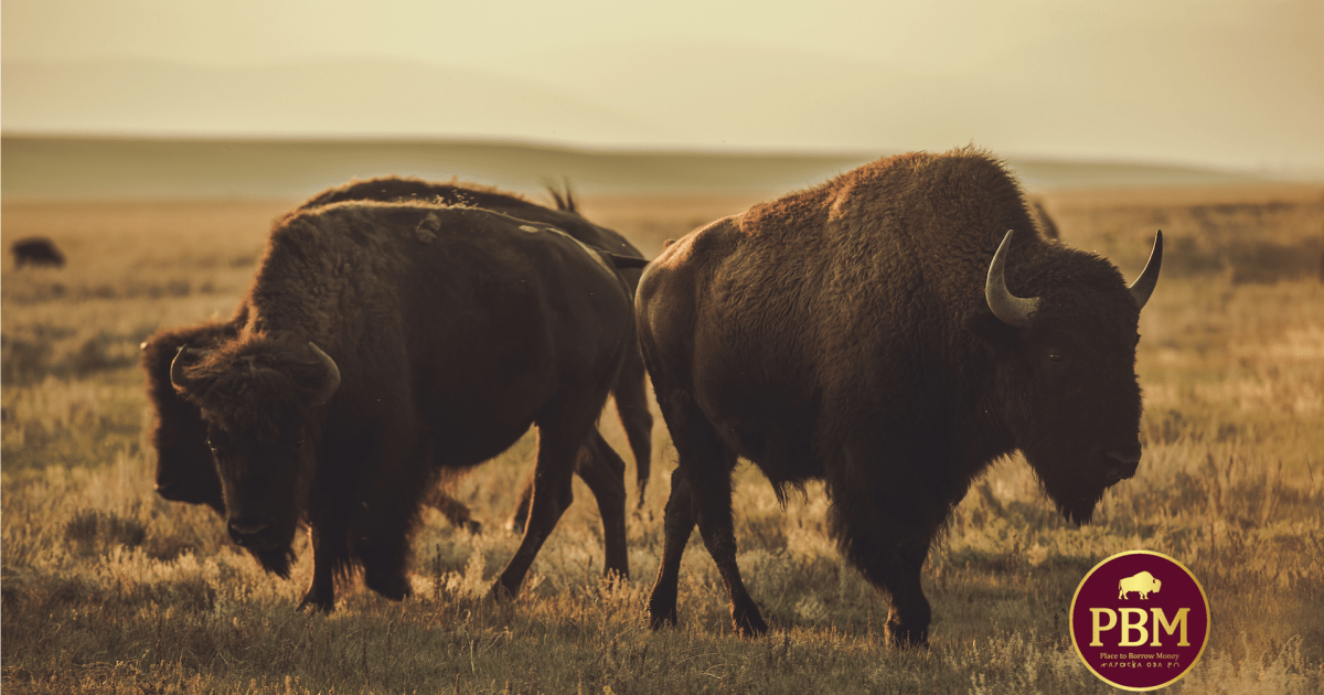 Osage Nation’s Manzeska Ota Tsi (Place to Borrow Money) Launches