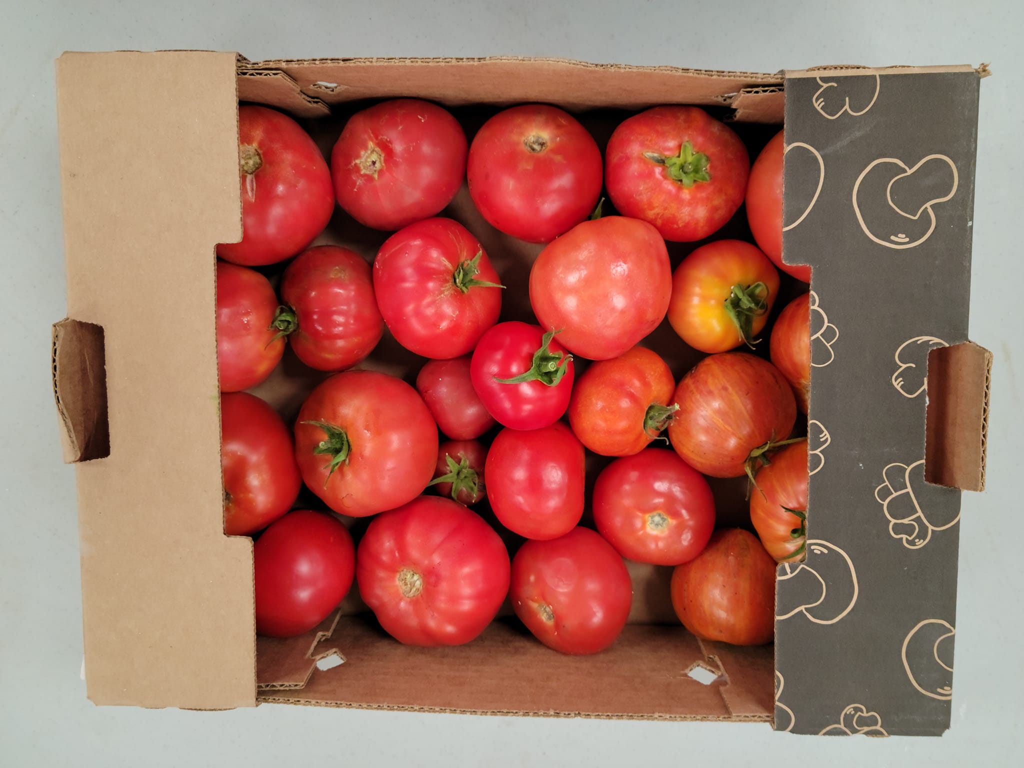 Tomatoes in box