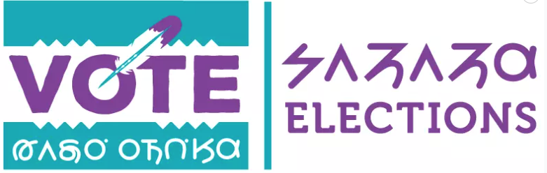 Election Logo