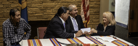 Minerals Council Purchase